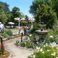 alameda-butterfly-habitat09
