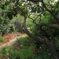 heath-delaney-12
