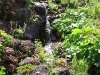 image21
