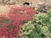 image01