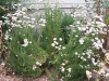 image02