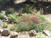 image04