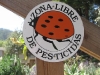 image07