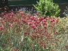 image08