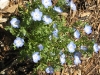 image09