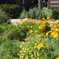 john-muir-house07