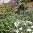 john-muir-house10