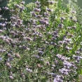 image07