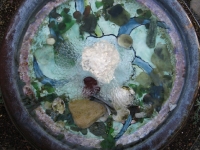 minor5
