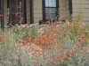 image02
