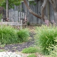 ballard-new-upload-2