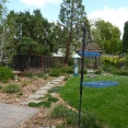 ballard-new-upload-4