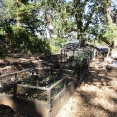 gilbert-2