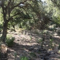 gilbert-5