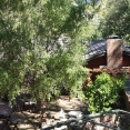 gilbert-8