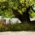 bbn-2011-ledgerwood-9