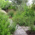 matthews-guthridge05