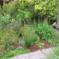 matthews-guthridge09