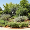 sherwood-1