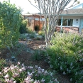 sherwood-april-22-155