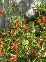 Heath07