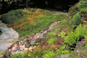 Jenny and Scott Fleming's garden © Saxon Holt Photography