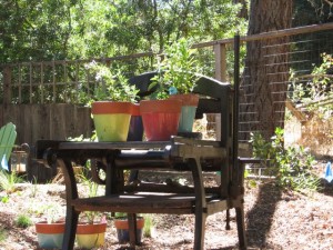 Lois Reynolds and Terry Mead’s garden