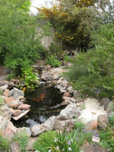 Al and Barbara Kyte’s garden