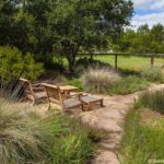 Lounge chairs in California native grass backyard climate resilient meadow lawn substitute with Deer grass (Muhlenbergia rigens) overlooking open space, Simons California native plant garden, Bringing Back the Natives