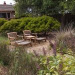 Lounge chairs in California native grass backyard meadow with deer grass (Muhlenbergia rigens), Lepechinia hastata - Mexican Pitcher Sage, and Juncus (rush), Simons California native plant garden, Bringing Back the Natives